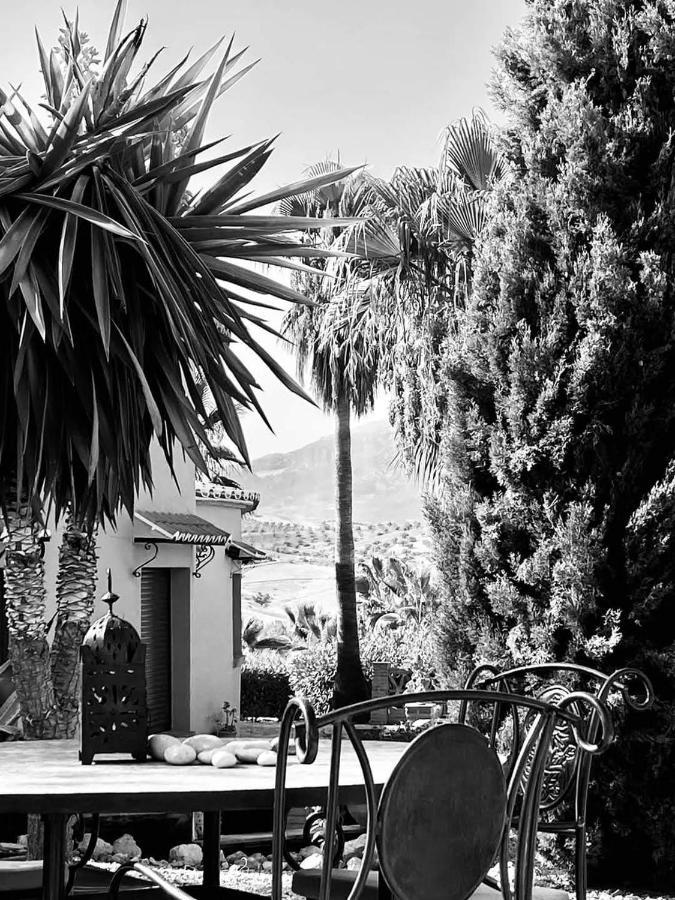 Premium Bed & Breakfast Casa Alegria Andaluza Los Romanes ภายนอก รูปภาพ